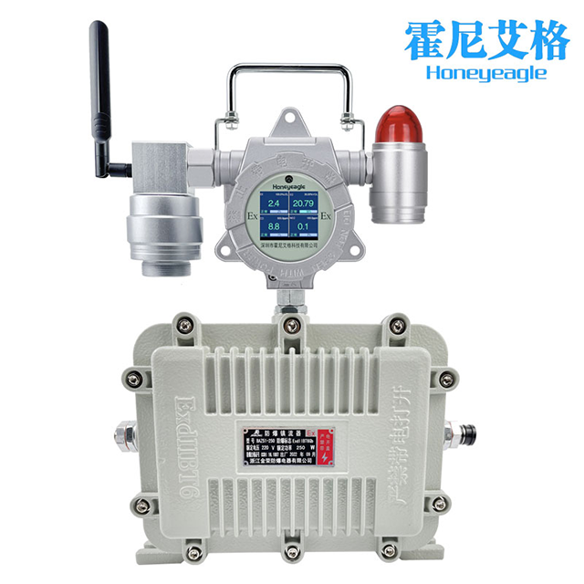 便攜式一氧化碳檢測儀(yi) 